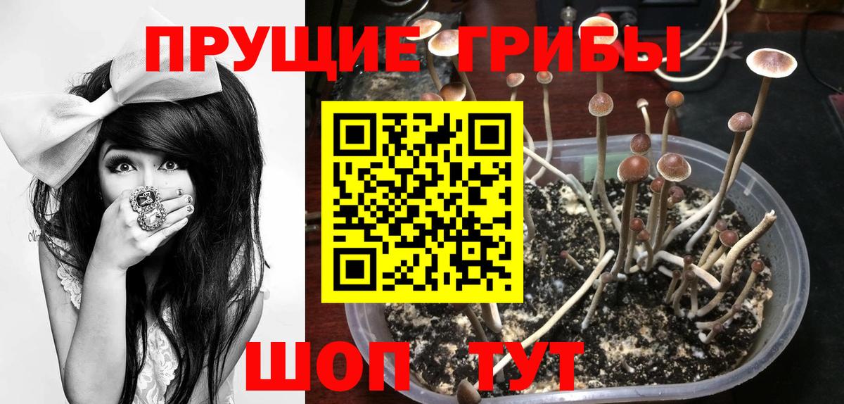 Слободской  Галлюциногенные грибы Magic Shrooms  сколько стоит  Вход с VPN 